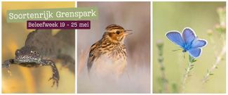 Soortenrijk Grenspark Beleefweek