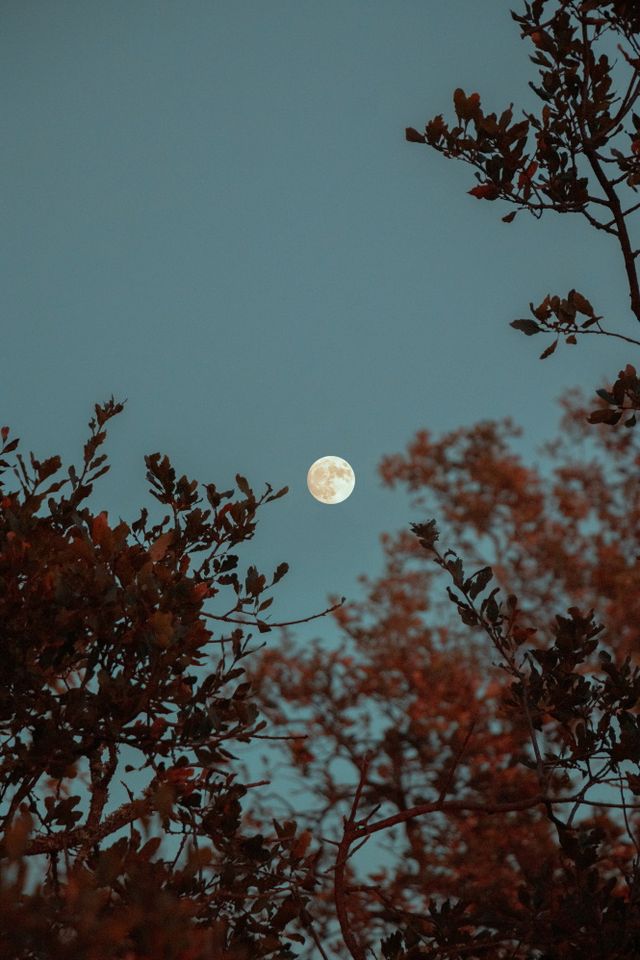 Een volle maan aan een heldere hemel.