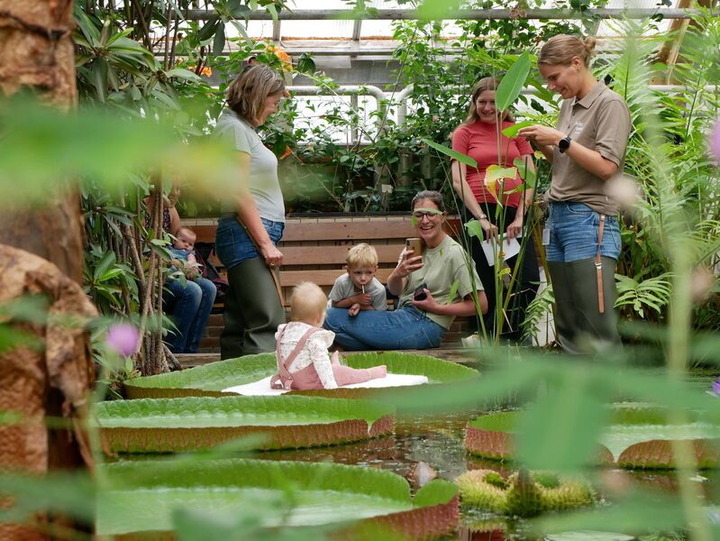 Greenhouse in the Botanic Garden in Leiden with people