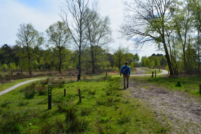 Wandelaar