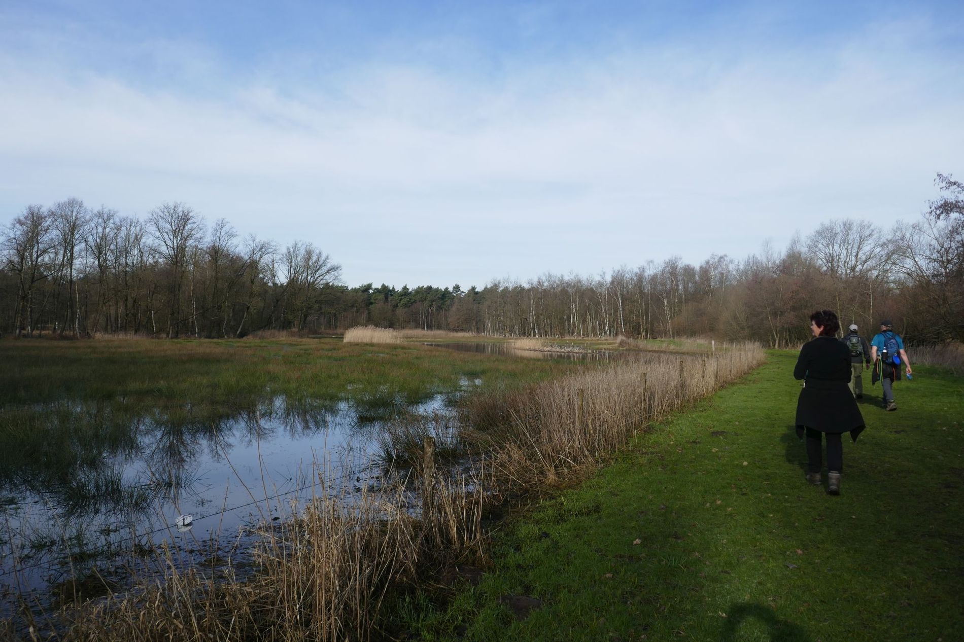 Natuurgebied tussen Grijze Steen en Neterselse Heide