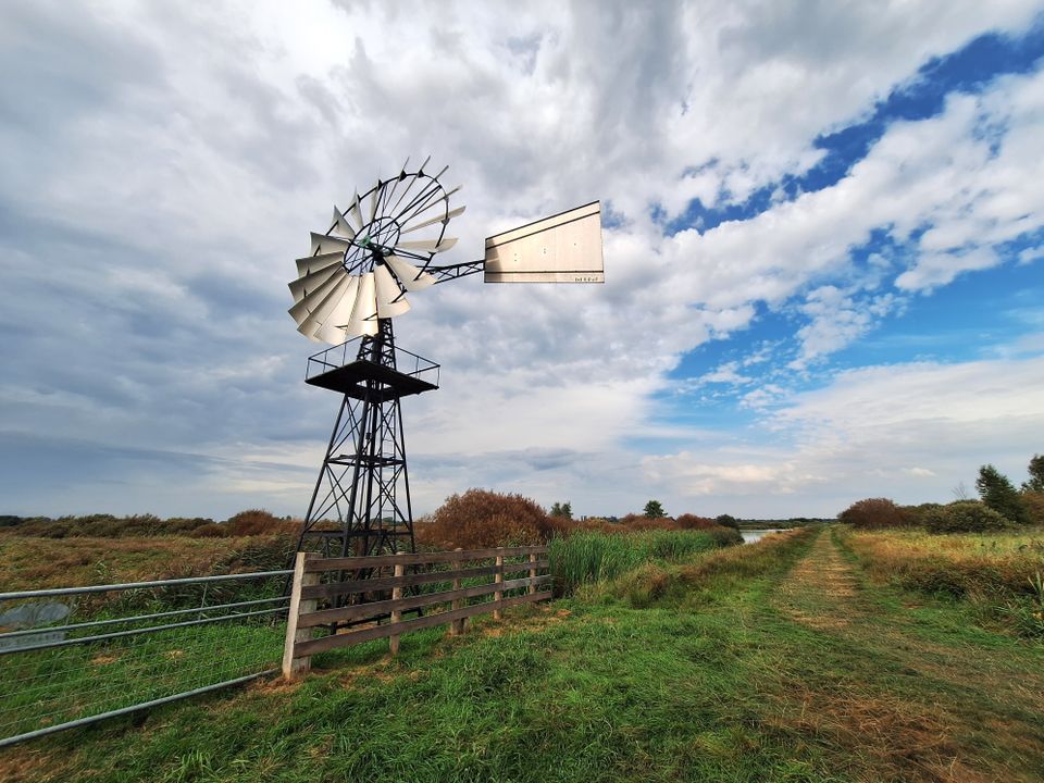 Wandelroute It Wikelslân | Nationaal Park De Alde Feanen