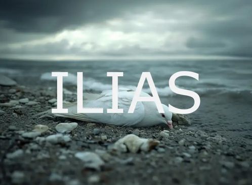 TG Python: ILIAS