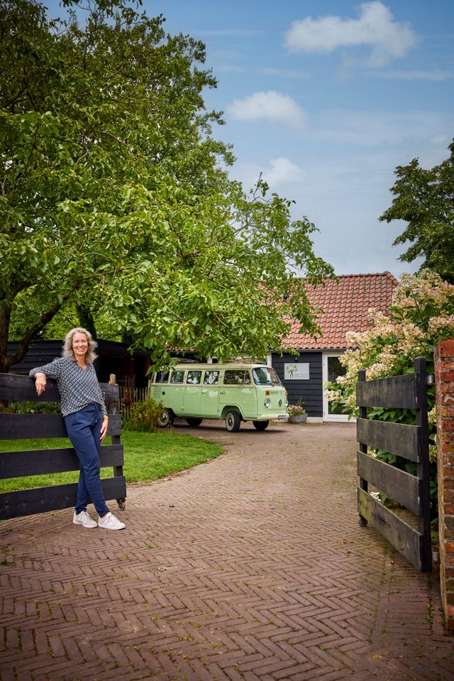B&B Arbores