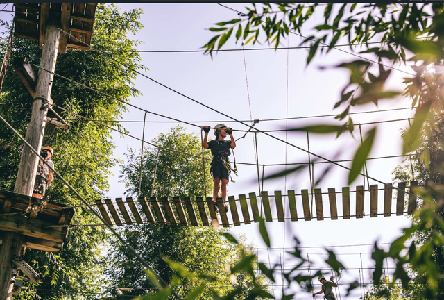 Kinderen die aan het klimmen zijn op een klim parcour in de bossen