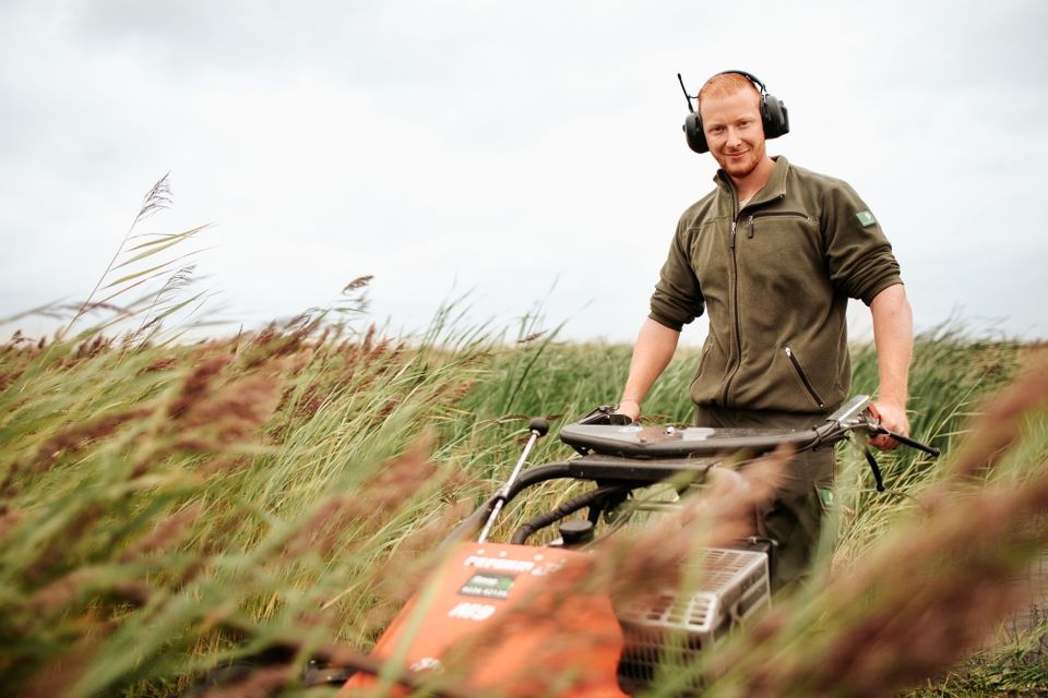 Oostvaardersplassen Almere