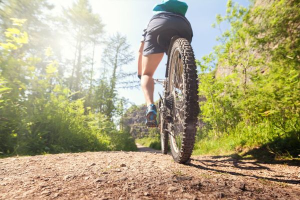 MTB fietser kikker