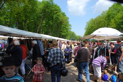 Markt Zuidlaren
