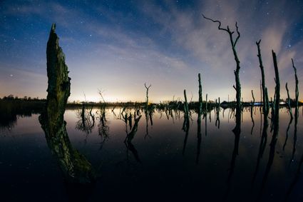 In de Alde Feanen beleef je de nacht nog zoals deze écht is: duister, stil en onaangetast.