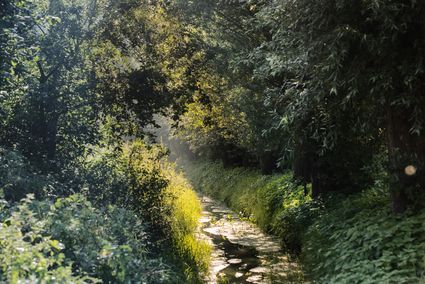 Hooidonkse Beek, Nuenen