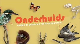 Tentoonstelling Onderhuids