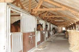 De Bedouine Hoeve 1