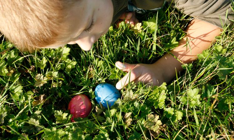 Een kind zoekt naar gekleurde paaseieren in de bossen