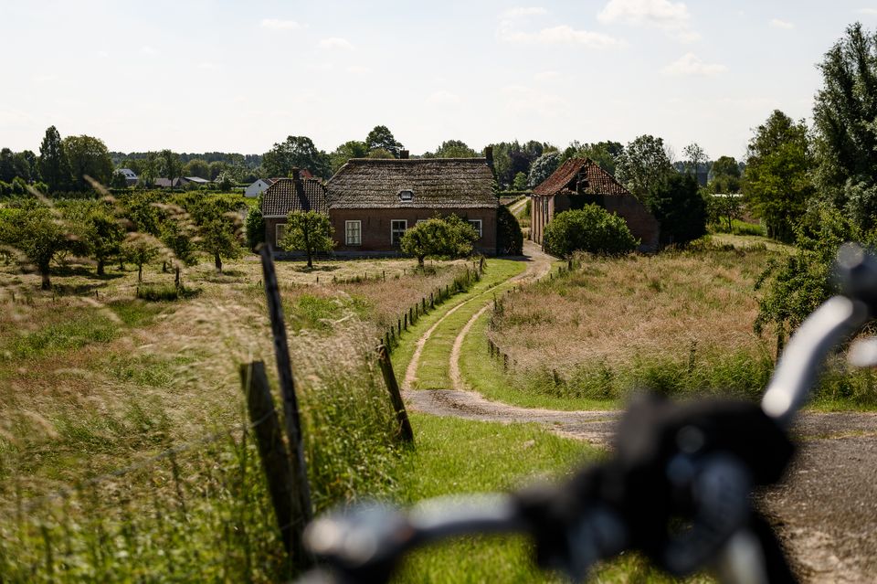 Afbeelding van fiets in landschap