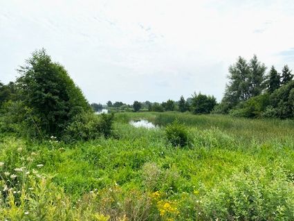 Uitzichtpunt Roodbaardpad