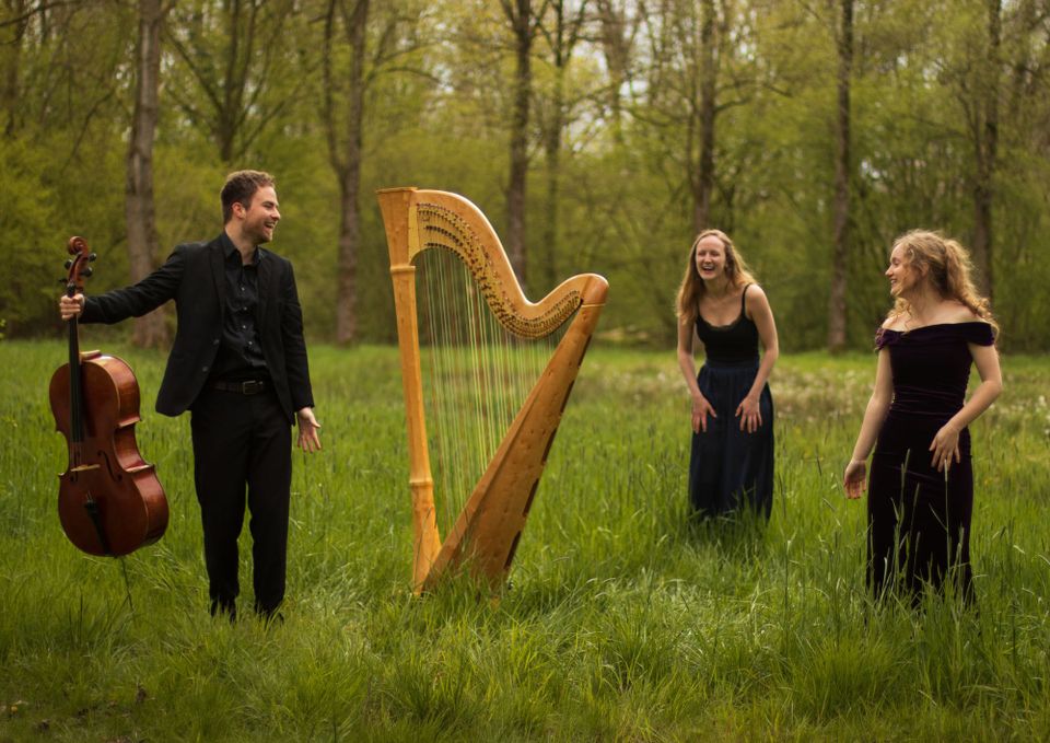 Groep muzikanten in het bos