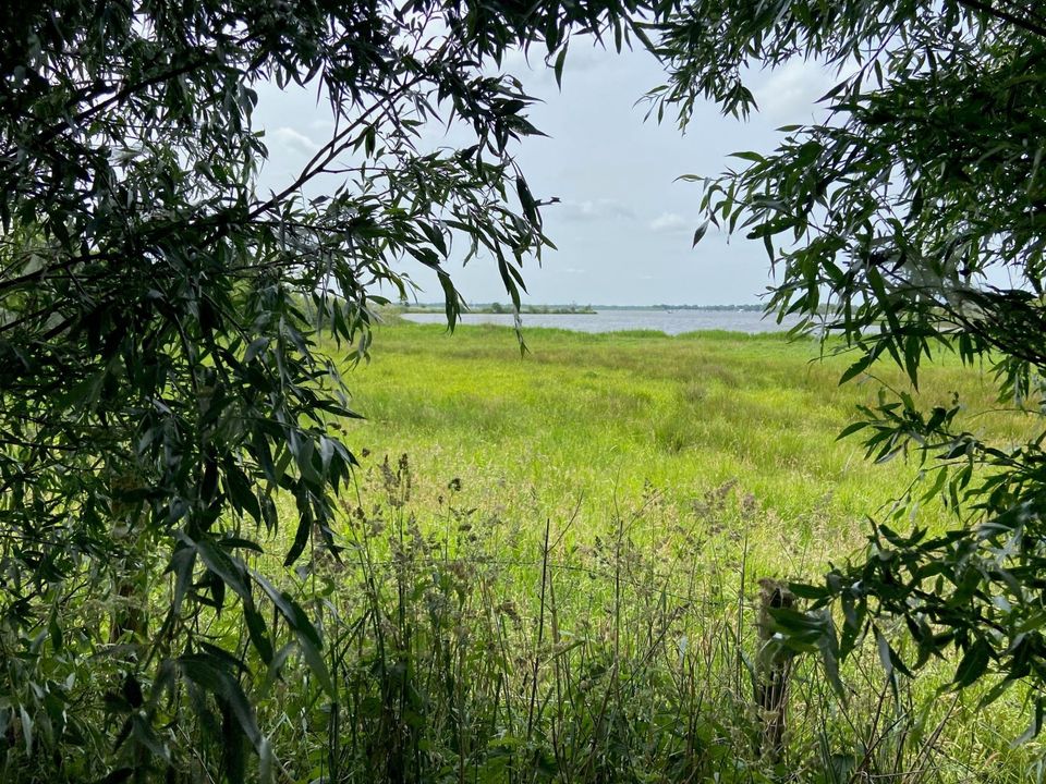 Het ‘smûke’ land van Friesland