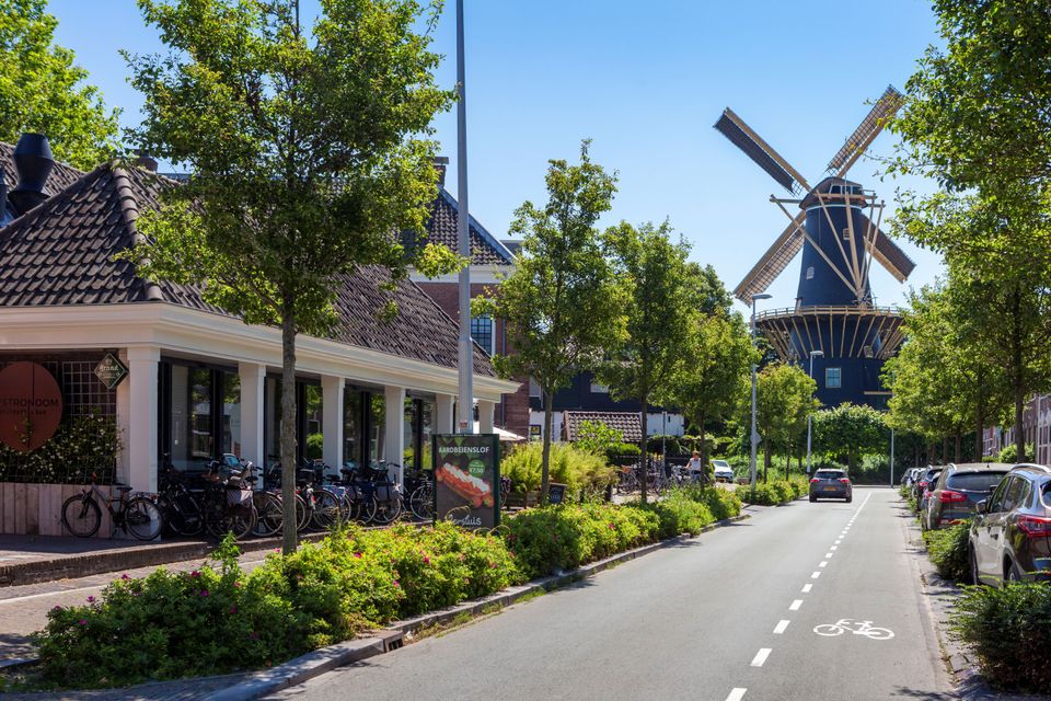 Historische molen De Windhond in Woerden, Groene Hart, straat met fietsers, geparkeerde auto’s, bomen en horecagelegenheid in zonnig stadsbeeld.