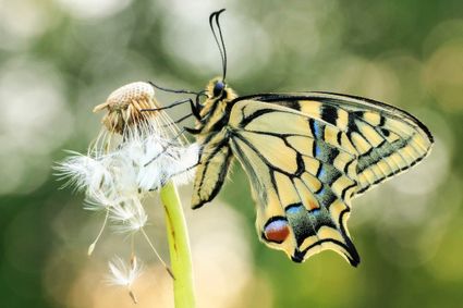 Large nature photography exhibition by Kieknou