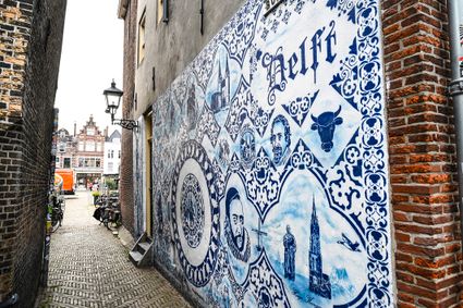 Bonte Ossteeg in Delft