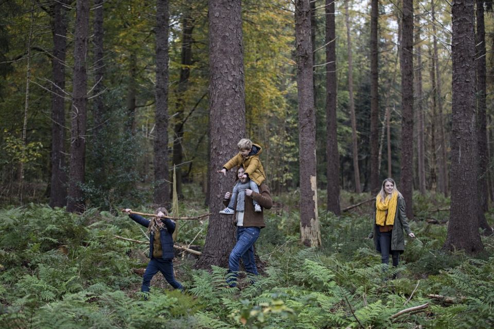 Een gezin met twee kinderen wandelt door een bos in Drenthe.