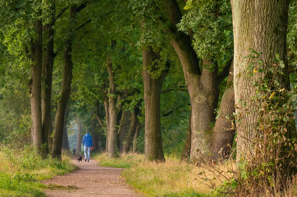 Wandelaar in de Bundertjes Helmond