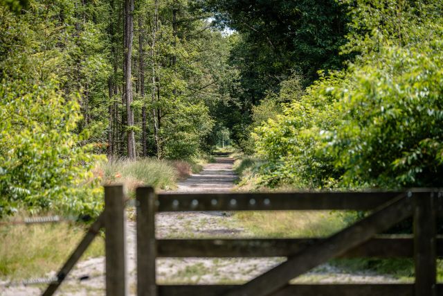 Hek met toegang tot het Vresselse Bos