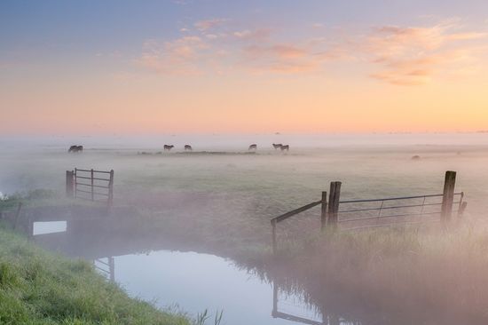 Wandeling bij Maasdam