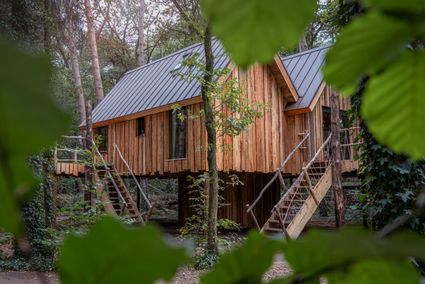 Boomhut Bed & Boshuisjes in Oisterwijk