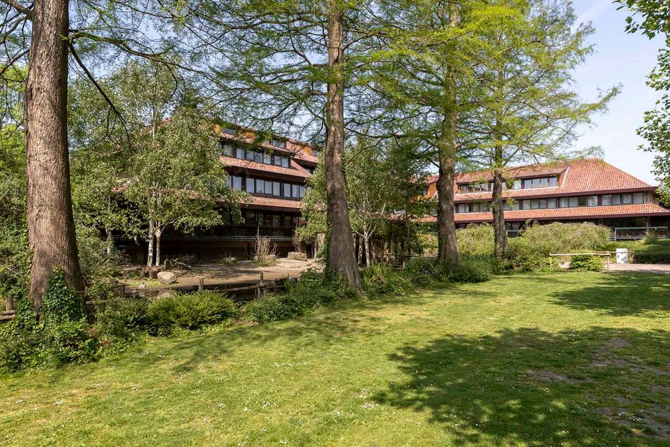 een groot en lang gebouw waar bomen voorstaan en een grasveldje licht.
