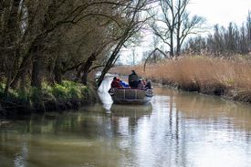 Rondje varen in de Biesbosch?