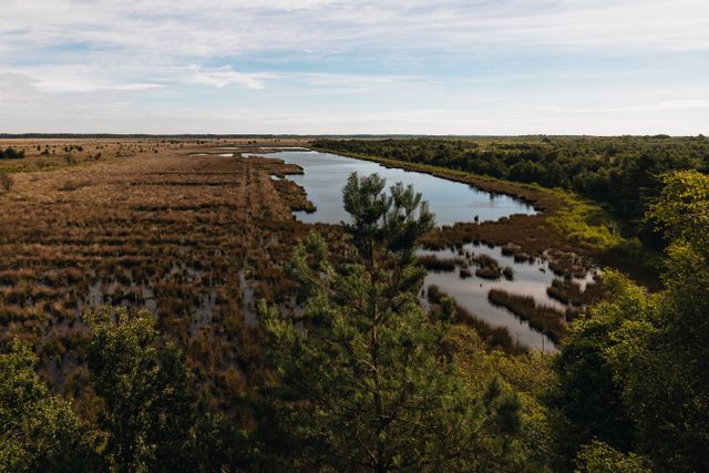 Een dronefoto van het Fochteloërveen.