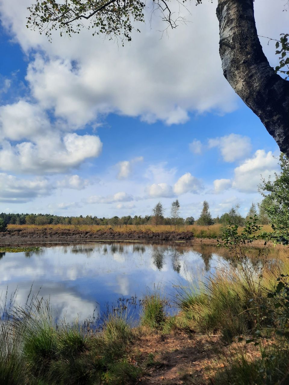 Peelse Heide Reusel Grote Cirkel.