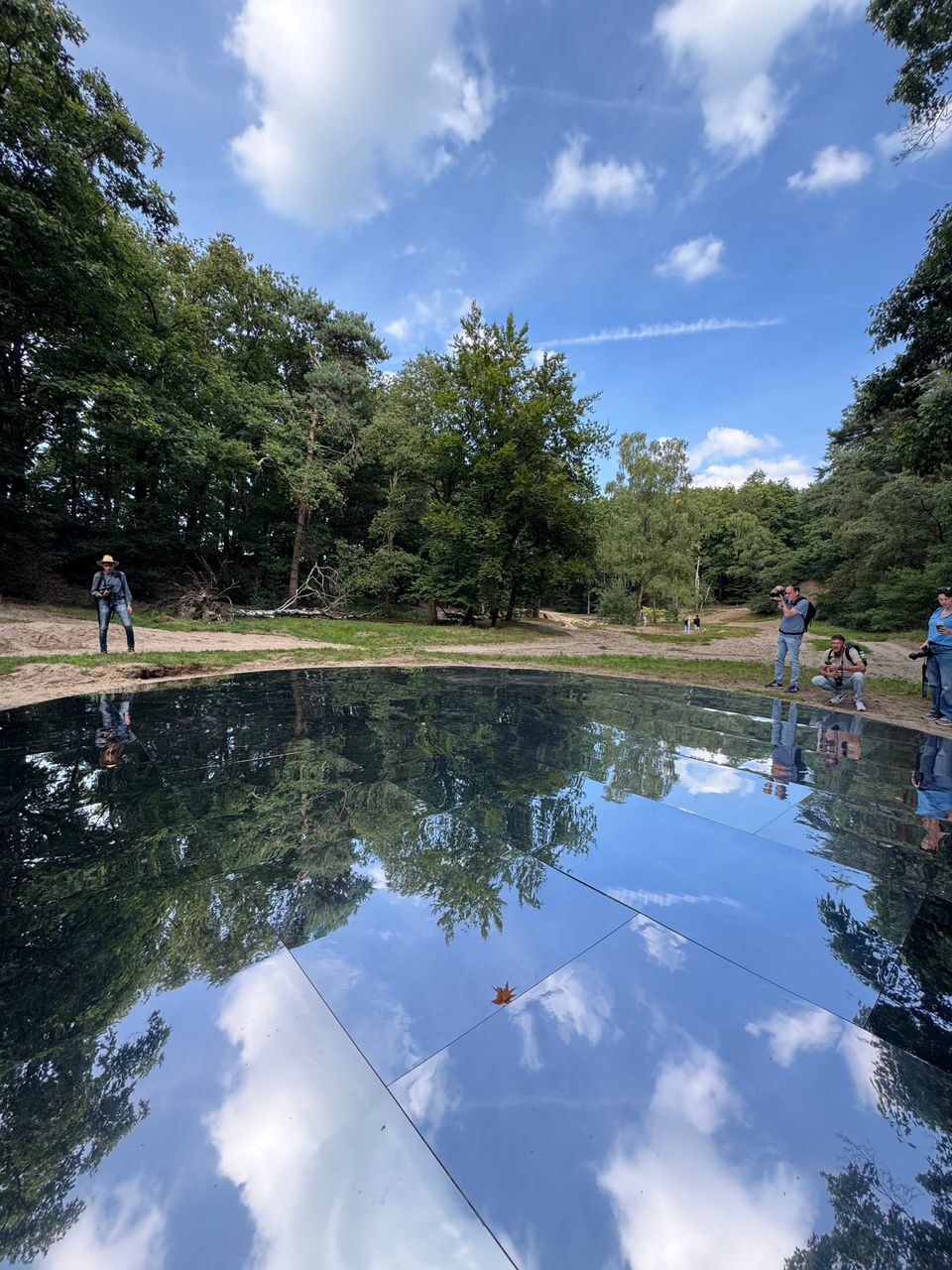 woest en bijster spiegelvijver lunteren
