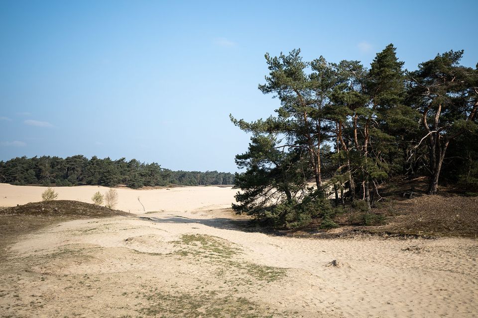 Wekeromse Zand - BezoekEde