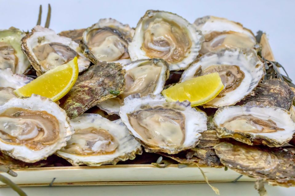Oesters