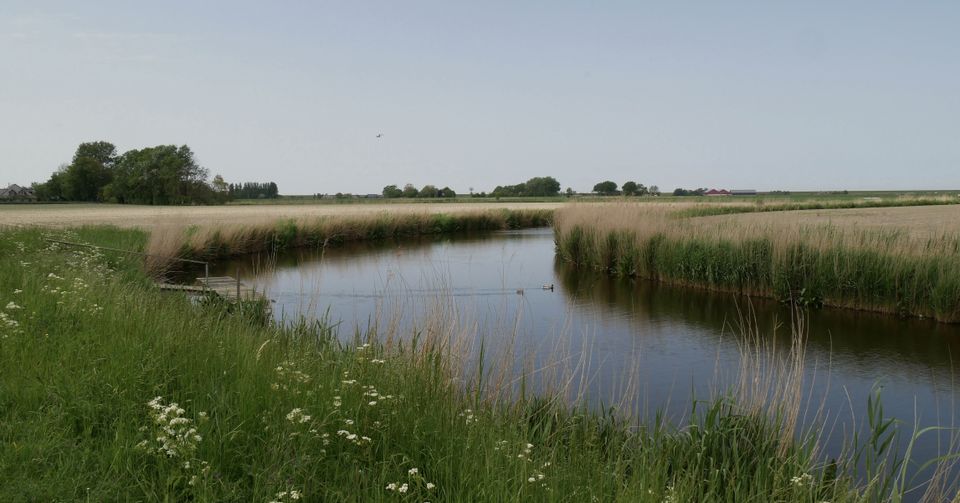 Spoarpaad: Troch it lân fan Winaam