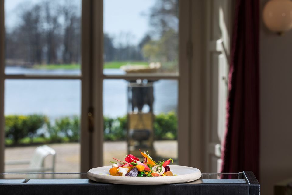 Vegetarisch gerecht met uitzicht op het water