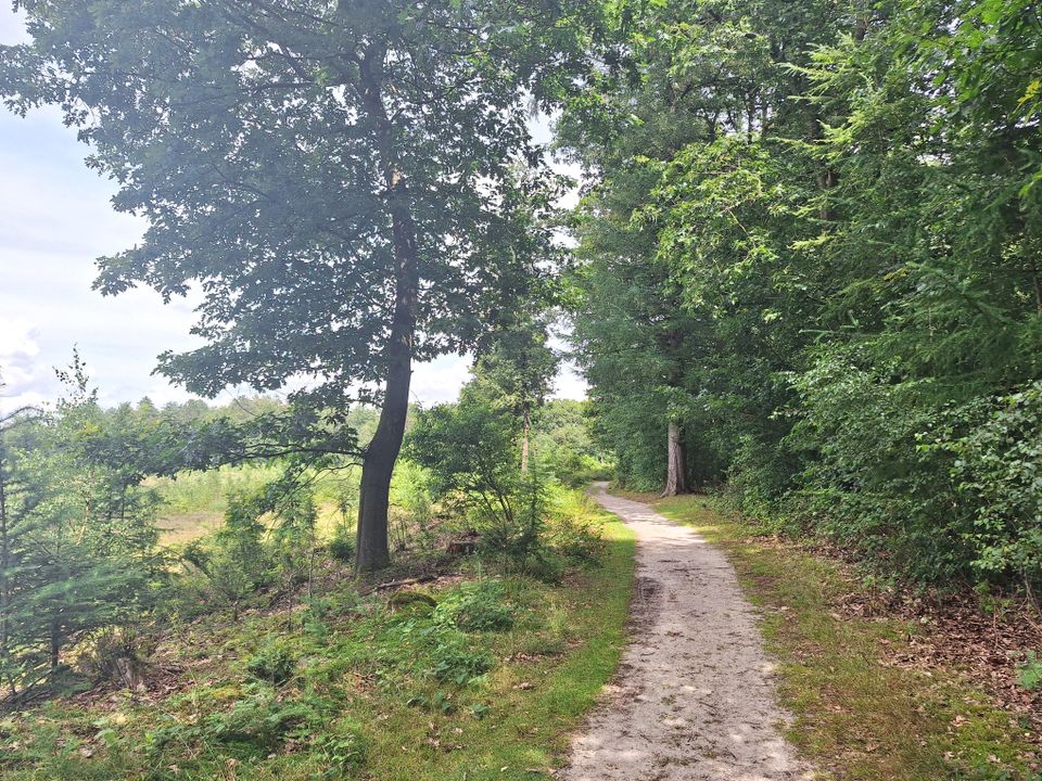 Groot rondje Bakkeveense duinen