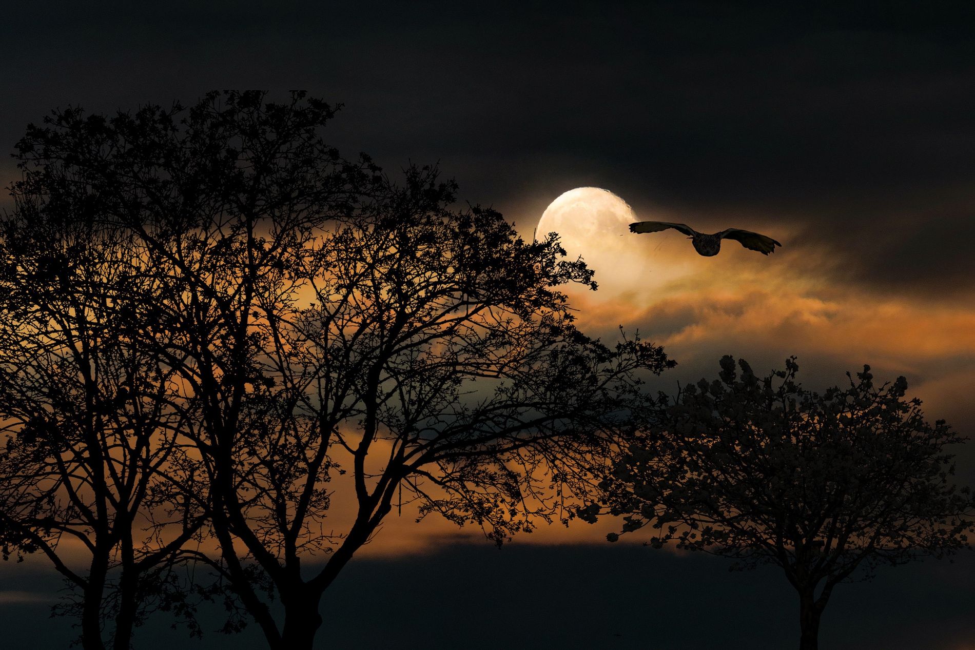 Nacht van de Nacht Helenaveen