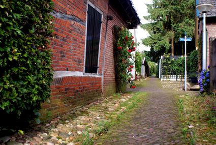 Wandelen | Door Aaltense Gängeskes