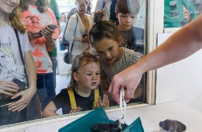 Stichting Vogelrevalidatiecentrum Zundert.