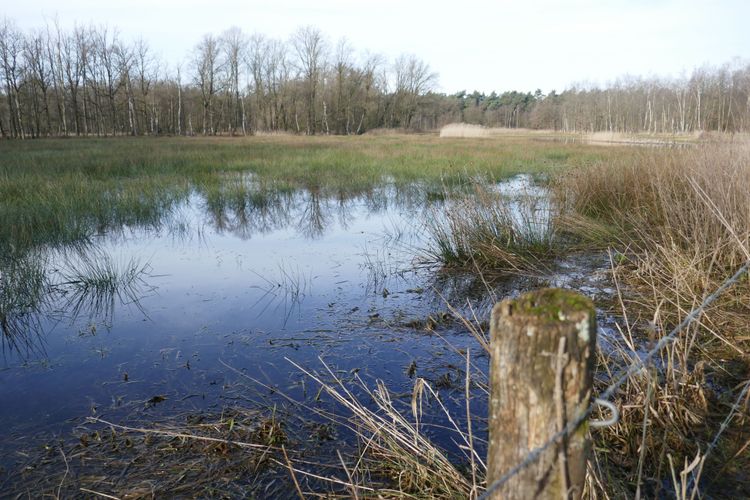 Door naar de Groote Beerze