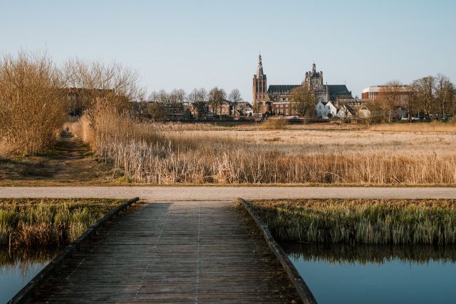 Sint Jan bezien vanuit Bossche Broek