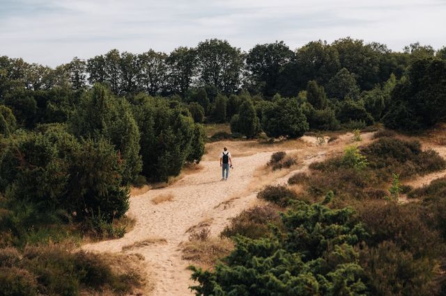 Ein Mann geht über den Sand des Mantingerveld in Drenthe.