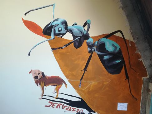 Expositie ZIMIHC Kunstgras: Cika Annemae