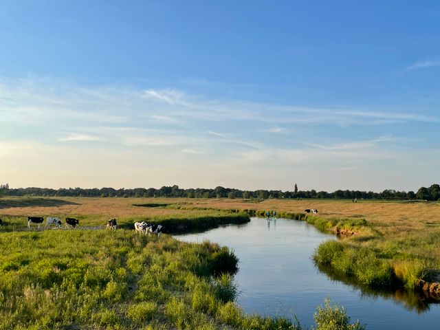 Suppen op de Aa bij Kasteel Heeswijk in Heeswijk-Dinther