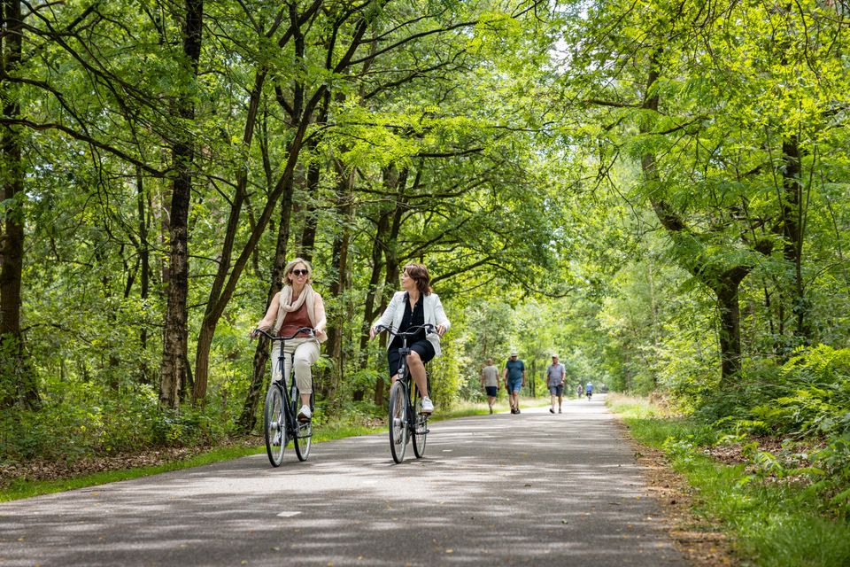 Twee vrouwen fietsers over de Van Tienhovenlaan in Oisterwijk die omgeven is door groene bomen. Op de achtergrond zie je een paar wandelaars.
