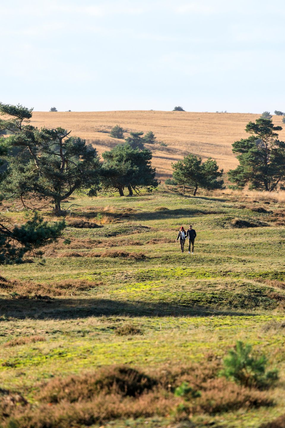 Wandelen in Nationaal Park Veluwezoom