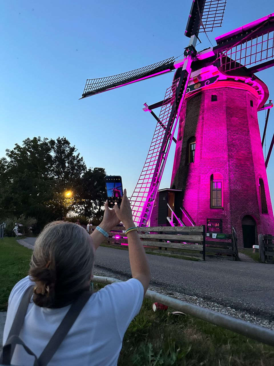 Lijkermolen I in Rijpwetering